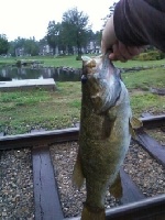 Biggest bass I've ever caught/Why I'm obsessed with fishing