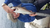  haddock fishing