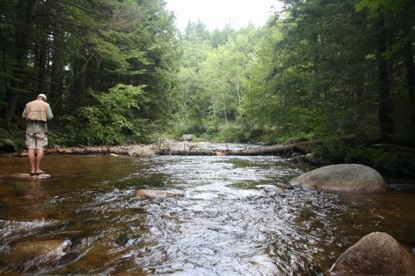 Fly-Fishing the Swift River