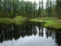 Catamount Pond
