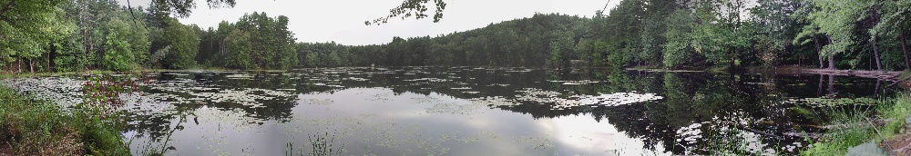 Lincoln Pond near Amherst