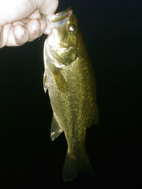 Troy fishing photo 1