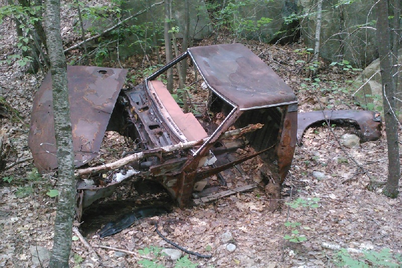 old truck in the woods