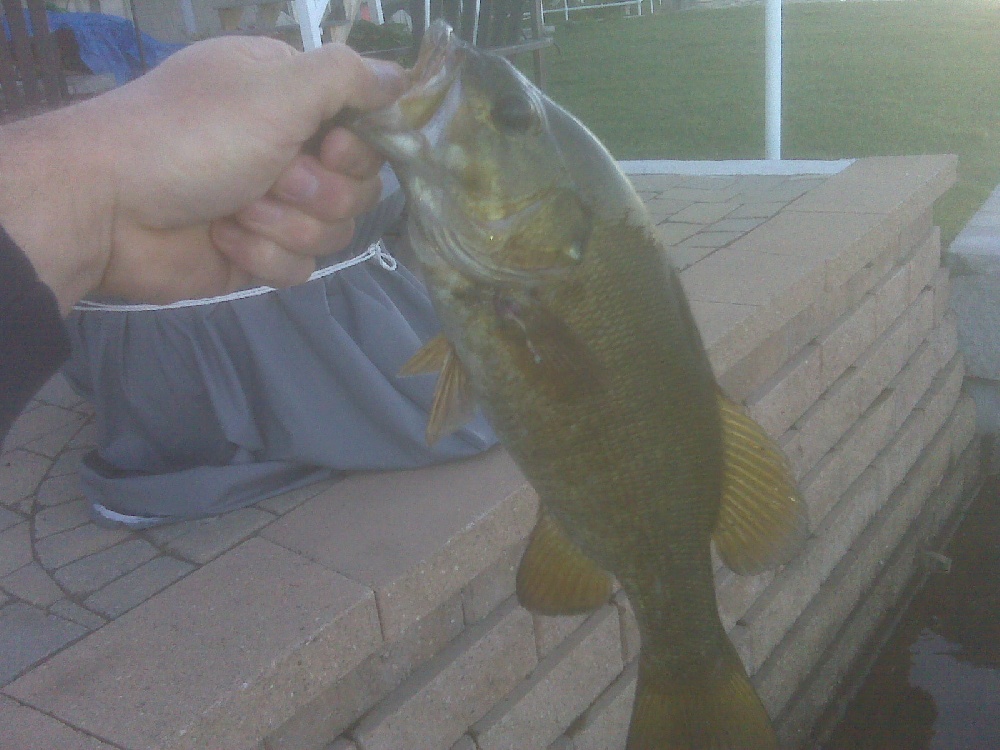 Pittsfield fishing photo 3