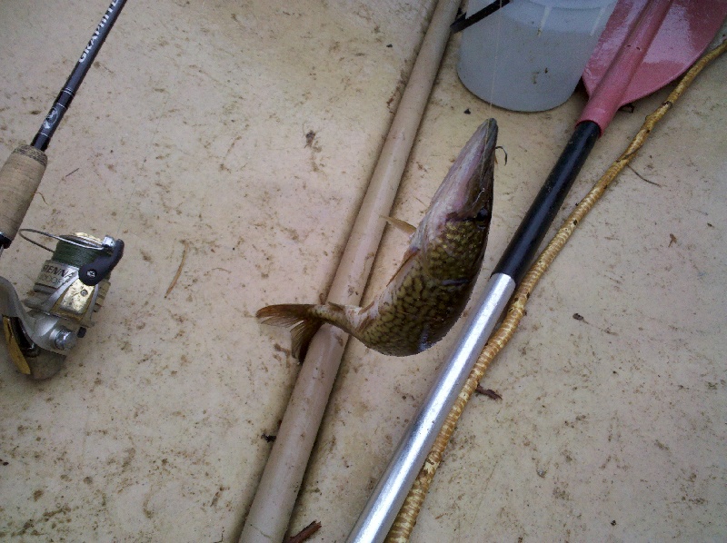 Eaton fishing photo 4