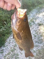 second st 2012 Fishing Report