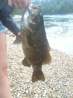 8/5/12 second st concord Fishing Report