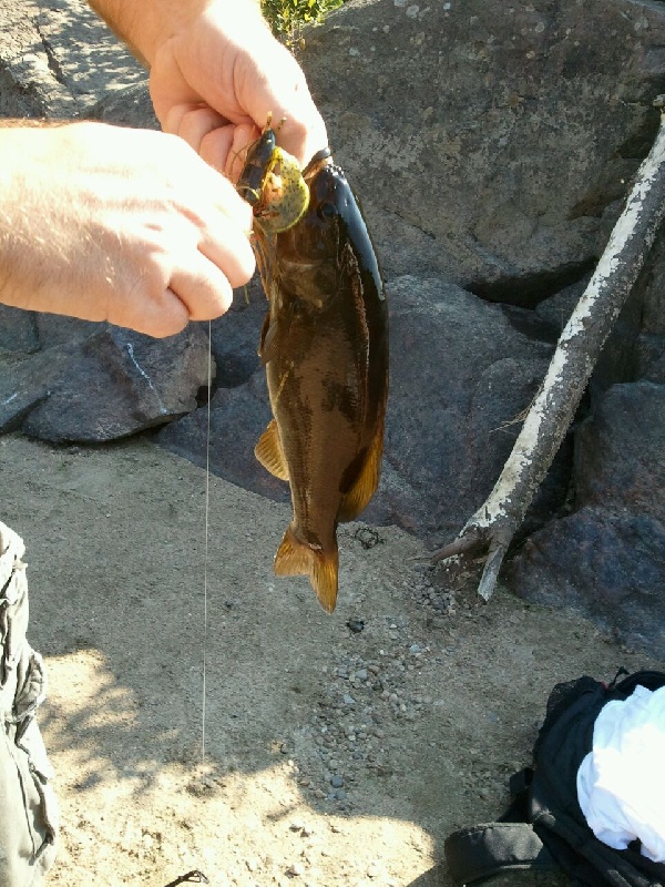 Webster fishing photo 1
