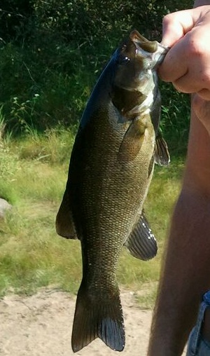 Webster fishing photo 2