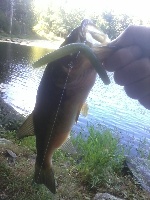 9/16/12 the boonies Fishing Report