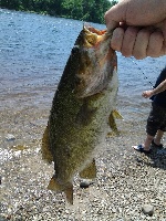 7/7/13 second st Fishing Report