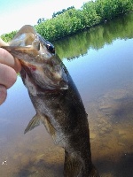5/21/14 Merrimack River Fishing Report