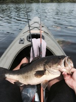 Fun Fishing - Turkey Pond, Concord, NH Fishing Report
