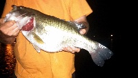 Rare night fishing trip for Team Northshore Fishing Report