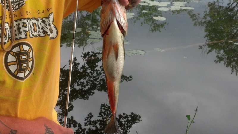 Atkinson fishing photo 1