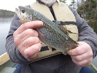 Clough Pond in Louden NH Fishing Report