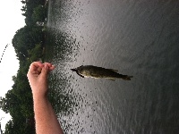 Forest Lake  Fishing Report