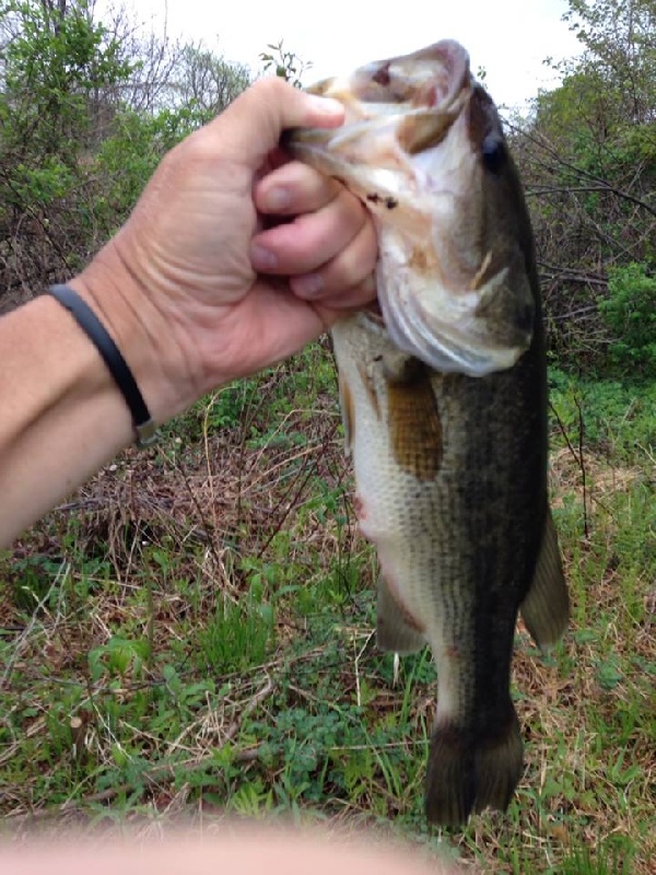 Friday afternoon largemouth