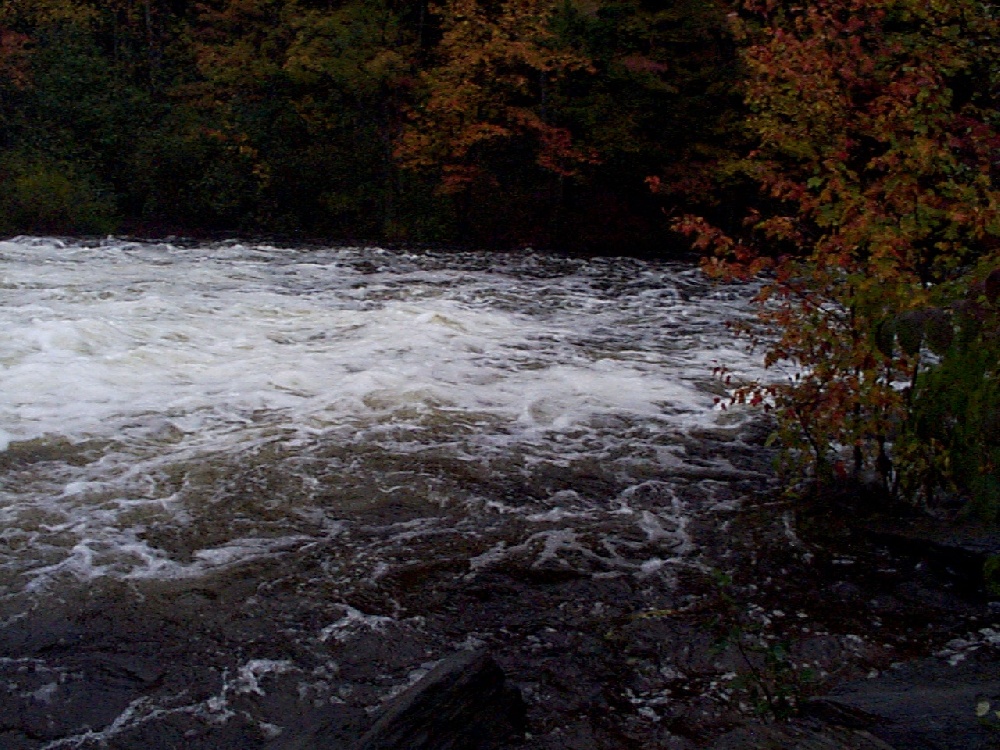 salmon falls river near Milton