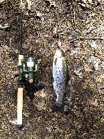 spring trout Fishing Report