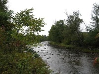 Gale River