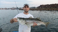 Commercial Striper Fishing Fishing Report
