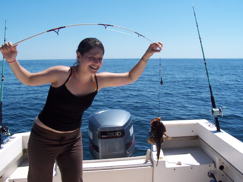 Gross Sea RObin