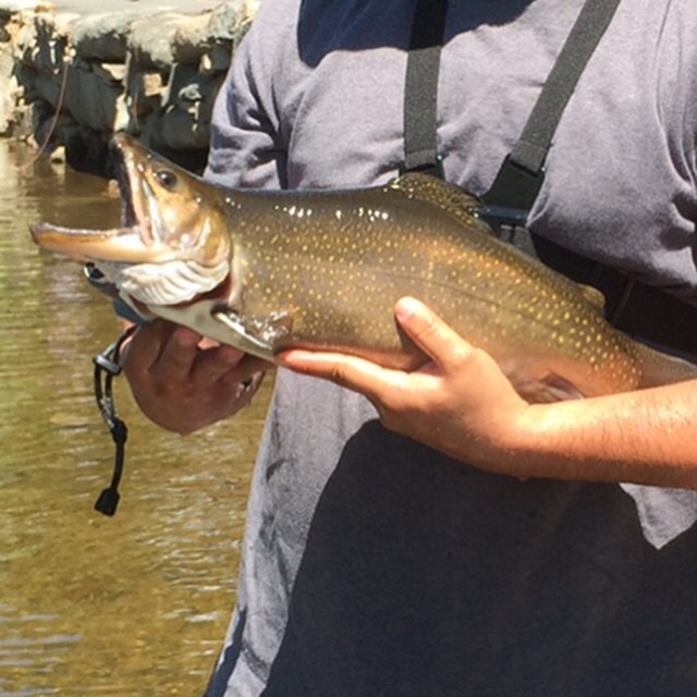 Franconia fishing photo 0