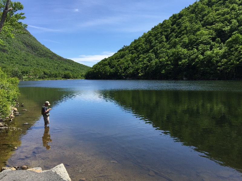 Franconia fishing photo 4