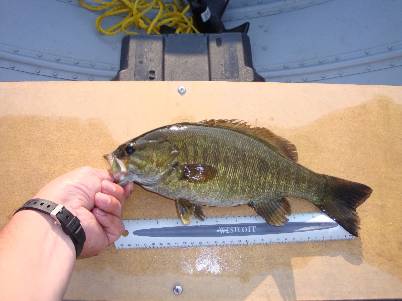 Small mouth near Madison