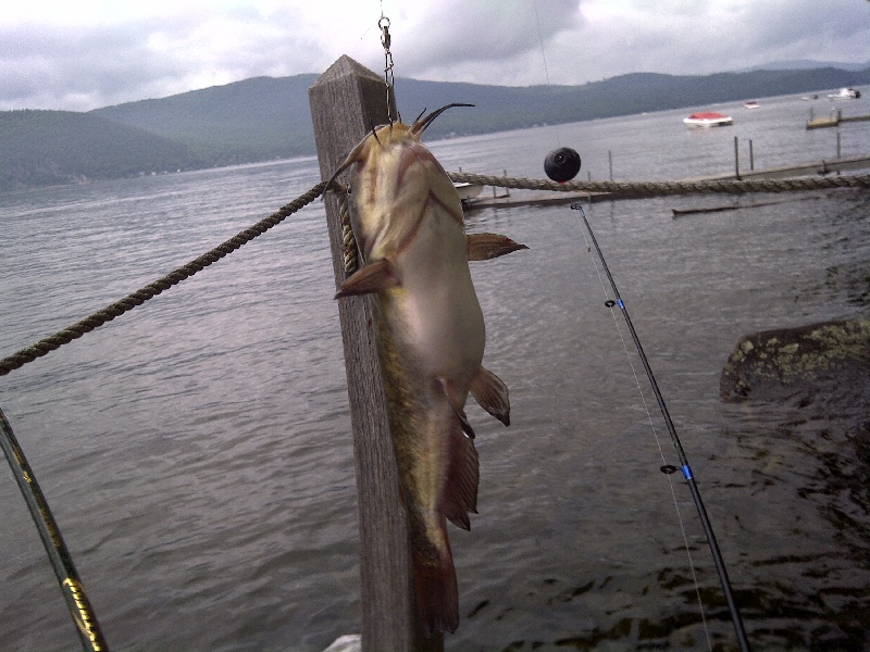 Alexandria fishing photo 1