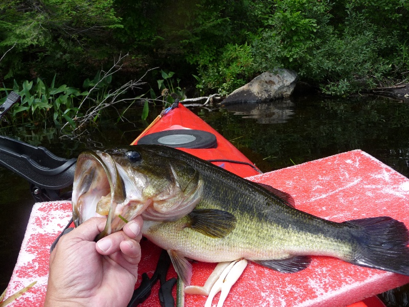 emerson pond near Rindge