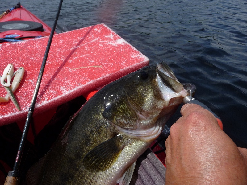 5lbs 4oz near Sharon