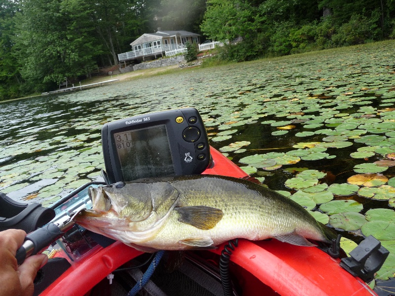 second pic. same fish near Jaffrey