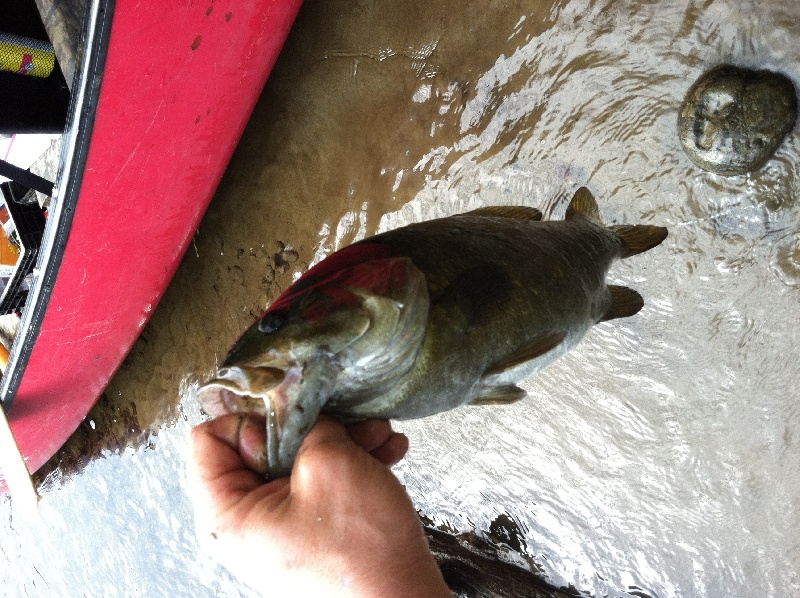 Cornish fishing photo 1