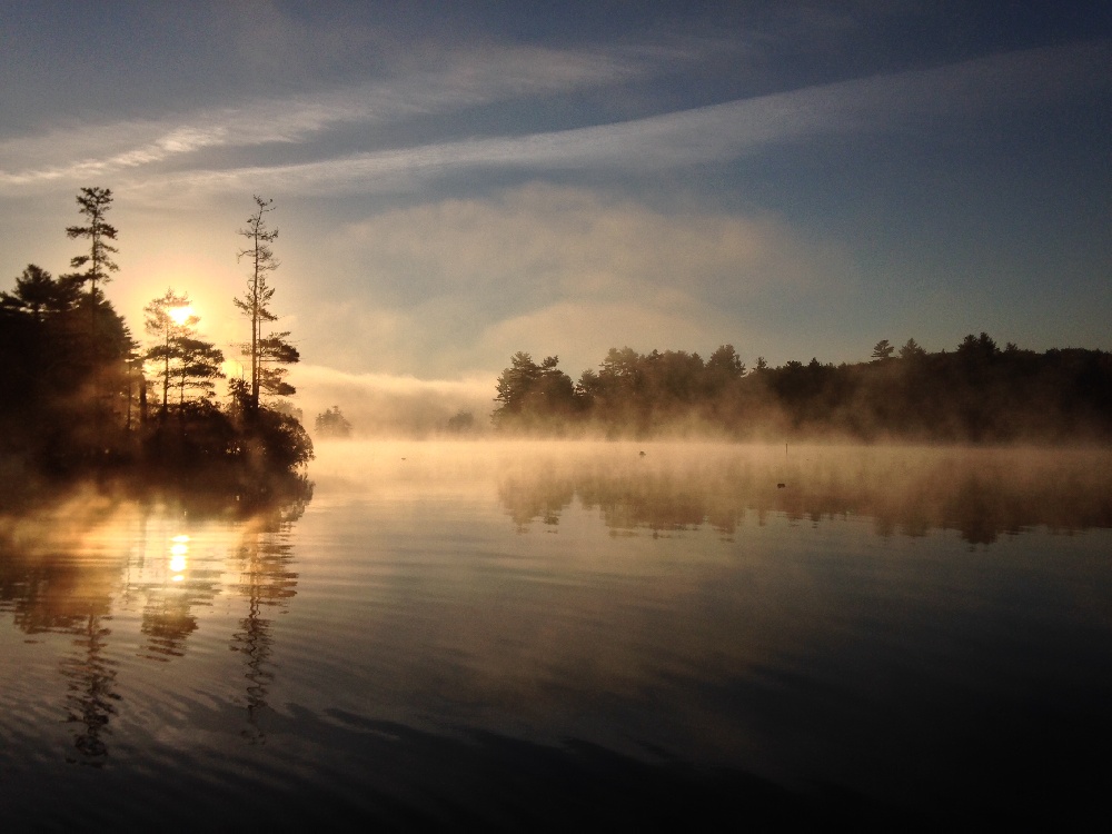 Cool morning near Nottingham