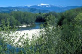 Mt. Washington and the Saco 2 near Hadley's Purchase