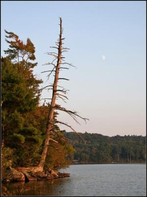 Monadnock near Dublin