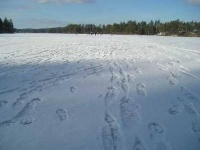 Balch Pond