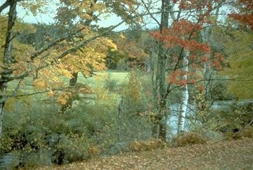 Ossipee fishing photo 0