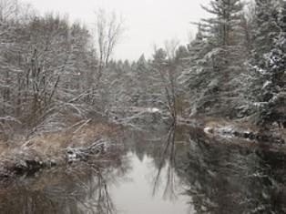 Blackwater near Andover