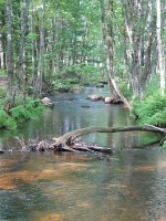 Chocorua River