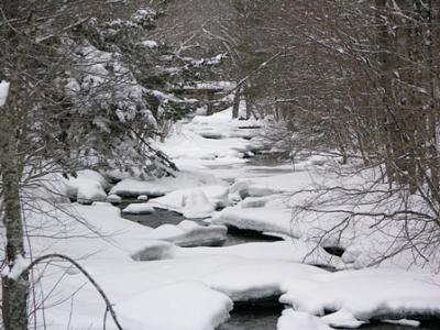 Rumney fishing photo 2