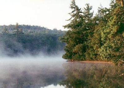 Sharon fishing photo 5