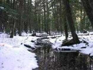 Brookline fishing photo 3