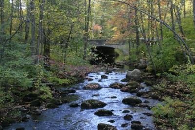 Brookline fishing photo 2