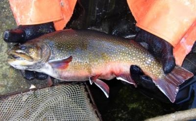 Orford fishing photo 2