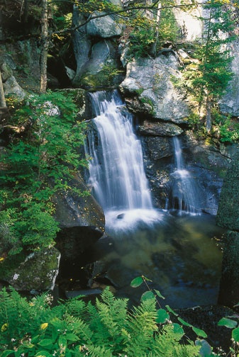 Paradise Falls near Ellsworth