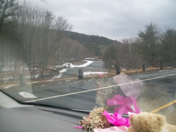 Baker River near Benton