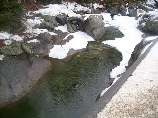 The Baker River near Benton